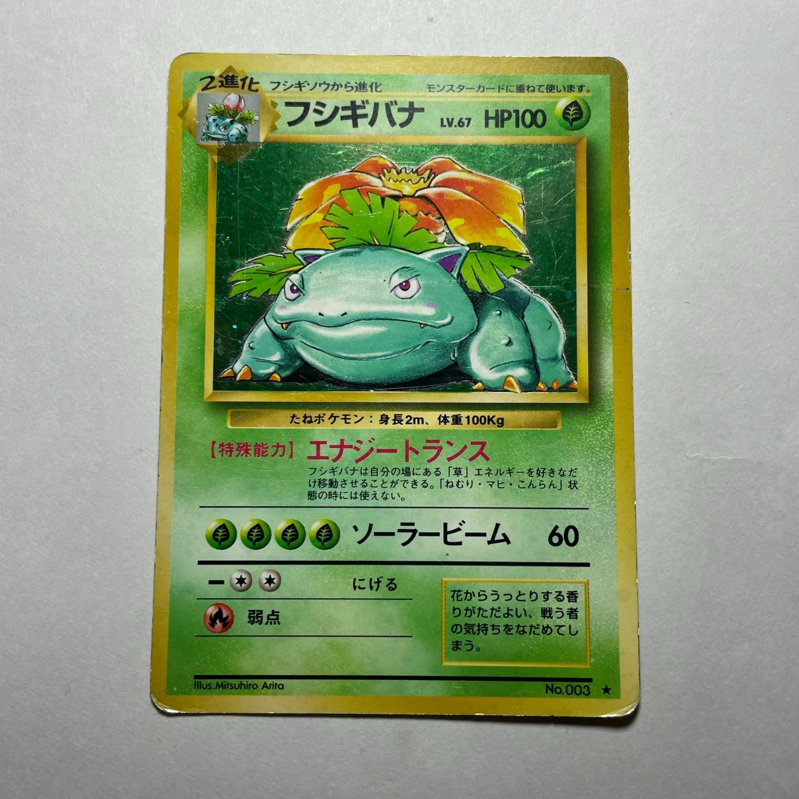 フシギバナ 第一弾 Venusaur Base Set - メルカリ