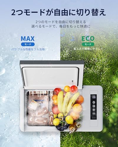 ☆新品☆EUHOMY 車載冷蔵庫 ポータブル冷蔵庫 小型 【-20℃?20℃ 急速冷凍】 18L 持ち運び 3WAY 電気式 車載 電動 車に乗せる キャンプ 車載家庭両用 静音 低電圧保護 DC12V/24V AC100V コンプレッサー式 48298724