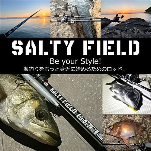【新品】Abu Garcia (アブガルシア) SALTYFIELD ソルティーフィールド 各種 ソルト ロッド 釣り竿 入門 エントリー 初心者 eef061d0