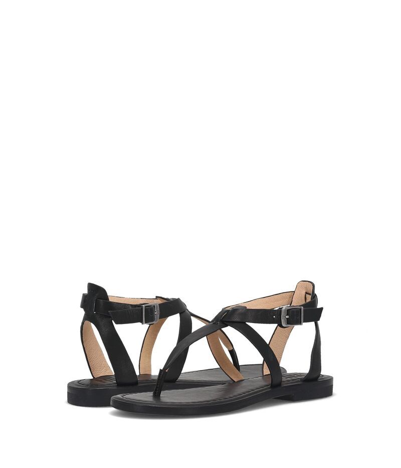 フライ レディース シューズ サンダル Frye Taylor Sandal Black ブラック