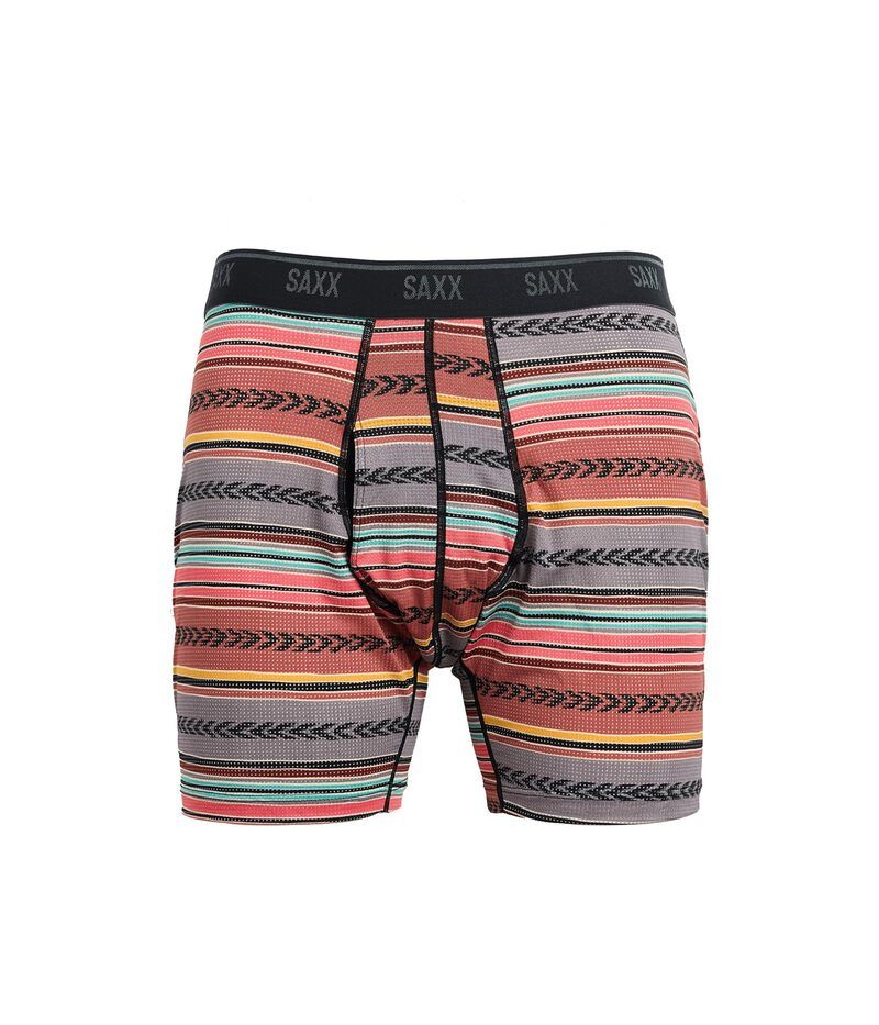 サックスアンダーウェアー メンズ ボクサーパンツ メッシュ SAXX UNDERWEAR Quest Quickdry Mesh Boxer Briefly Globetrekker StripeMulti マルチカラー