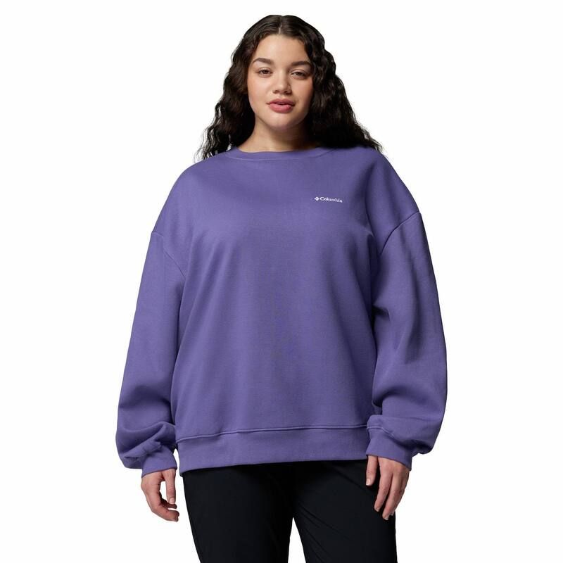 コロンビア レディース トップス Tシャツ プラスサイズ スウェット Plusize Columbialdermore Crew Sweatshirt Stormwatch