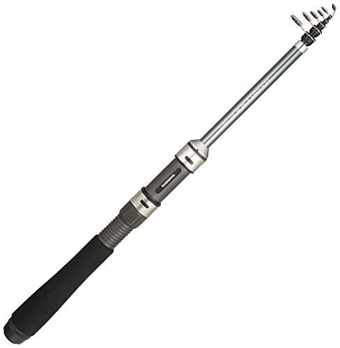 シマノ(SHIMANO) スピニング/ベイト兼用 ロッド 17 ホリデーパック(防波堤 船) 各種 チョイ投げ サビキ釣り 海上釣堀e 6fde5ff5