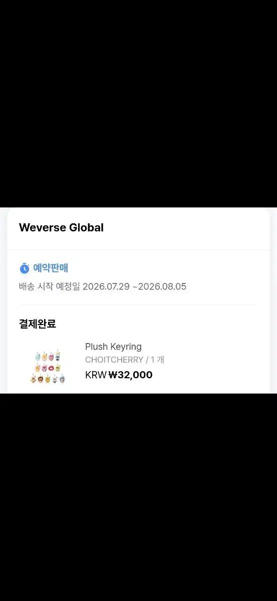SEVENTEEN ミニ틴 アイスクリーム PLUSH キーホルダー さくらんぼ 出品