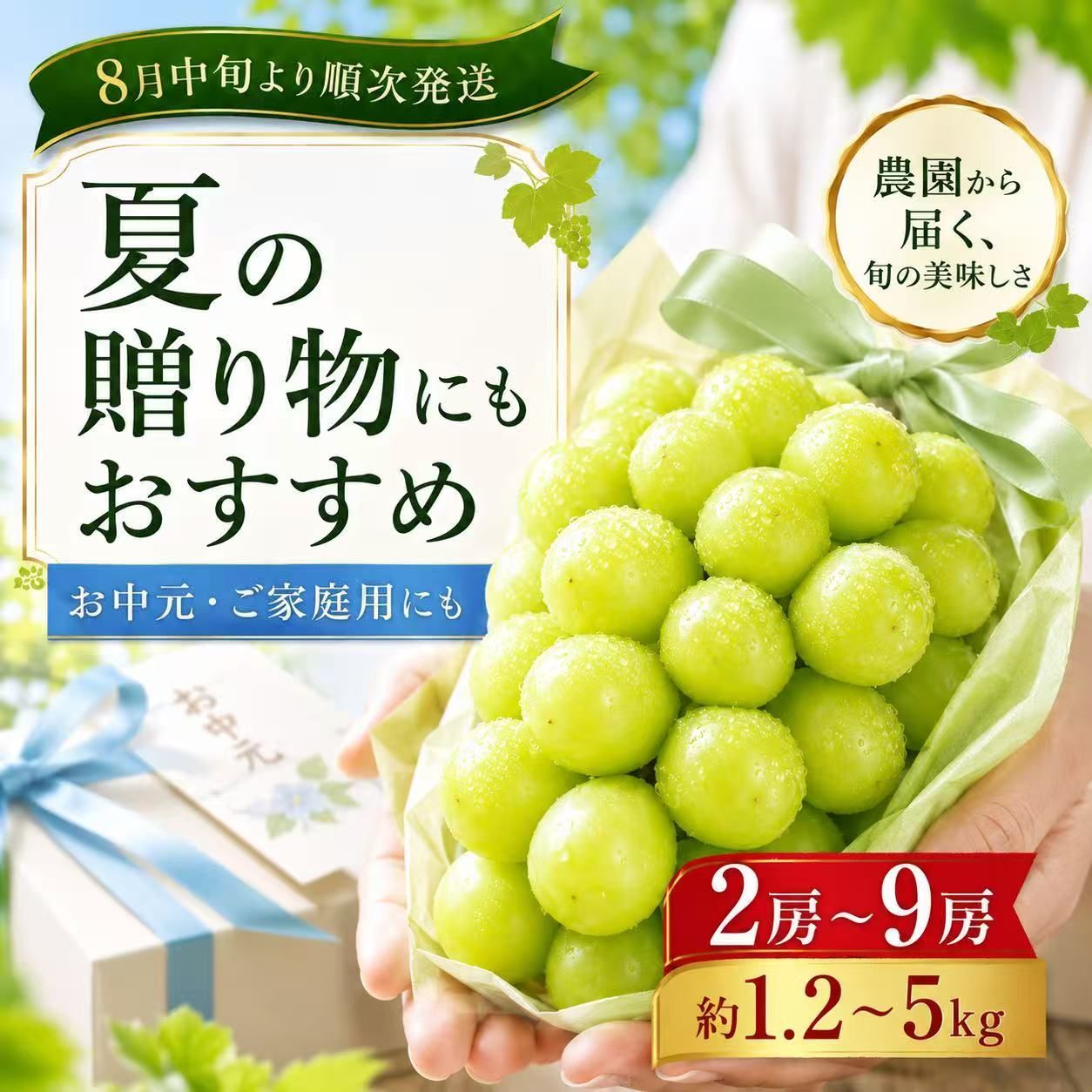 食品 メルカリ限定 シャインマスカット6〜11房5キロ 高級品質