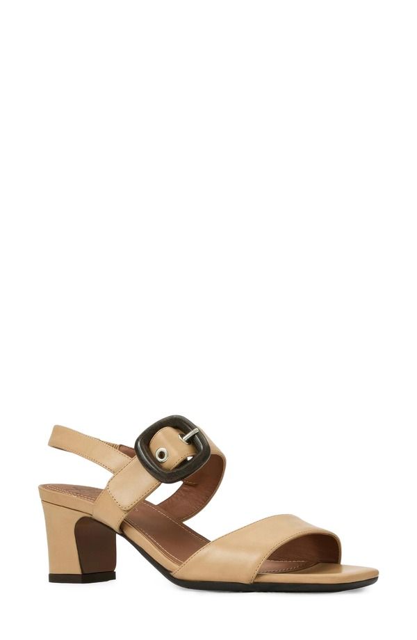 アクアタリア レディース シューズ ヒール サンダル Aquatalia Luca Slingback Sandal Sand Leather サンド