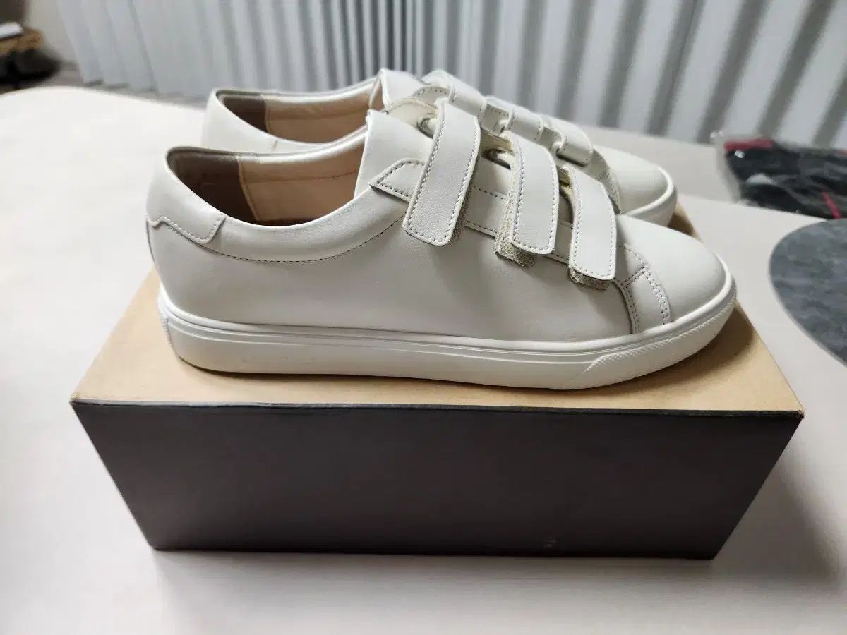 255 BEAN POLE ビーンポール メンズ バックル アーバン スニーカー 新品