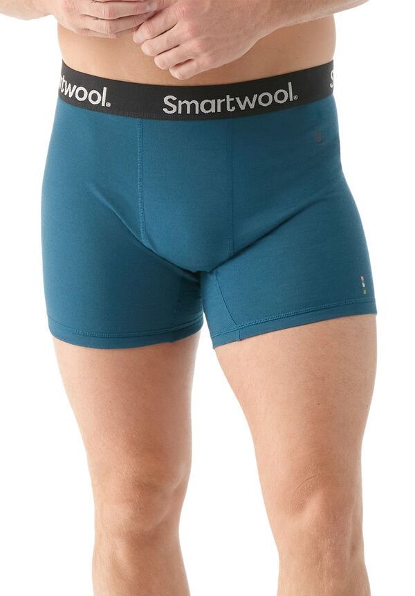 【送料無料】 スマートウール メンズ シャツ トップス Smartwool Mens Boxed Boxer Brief Twilight Blue