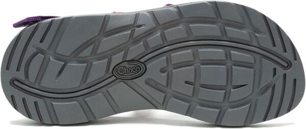 チャコ レディース シューズ サンダル Chaco Womens Z1 Classic Sandals Deco Purple パープル