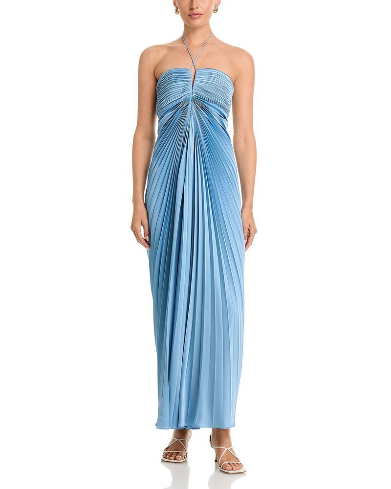アムール レディース トップス ワンピース プリーツ Amur Ionea Pleated Gown Tropical Dusk