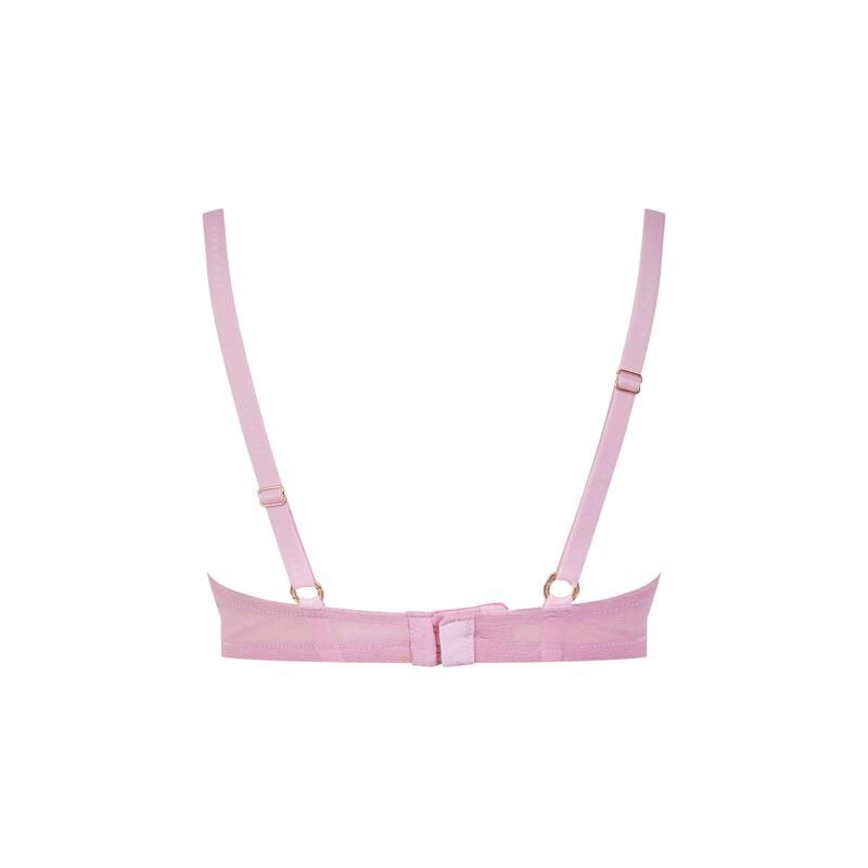 テッドベーカー レディース アンダーウェア ブラジャー Ted Baker Ted Bak Diam PushUp Ld71 Pink Floral ピンク テッドベーカー レディース アンダーウェア ブラジャー Ted Baker Ted Bak Diam PushUp Ld71 Pink Floral ピンク