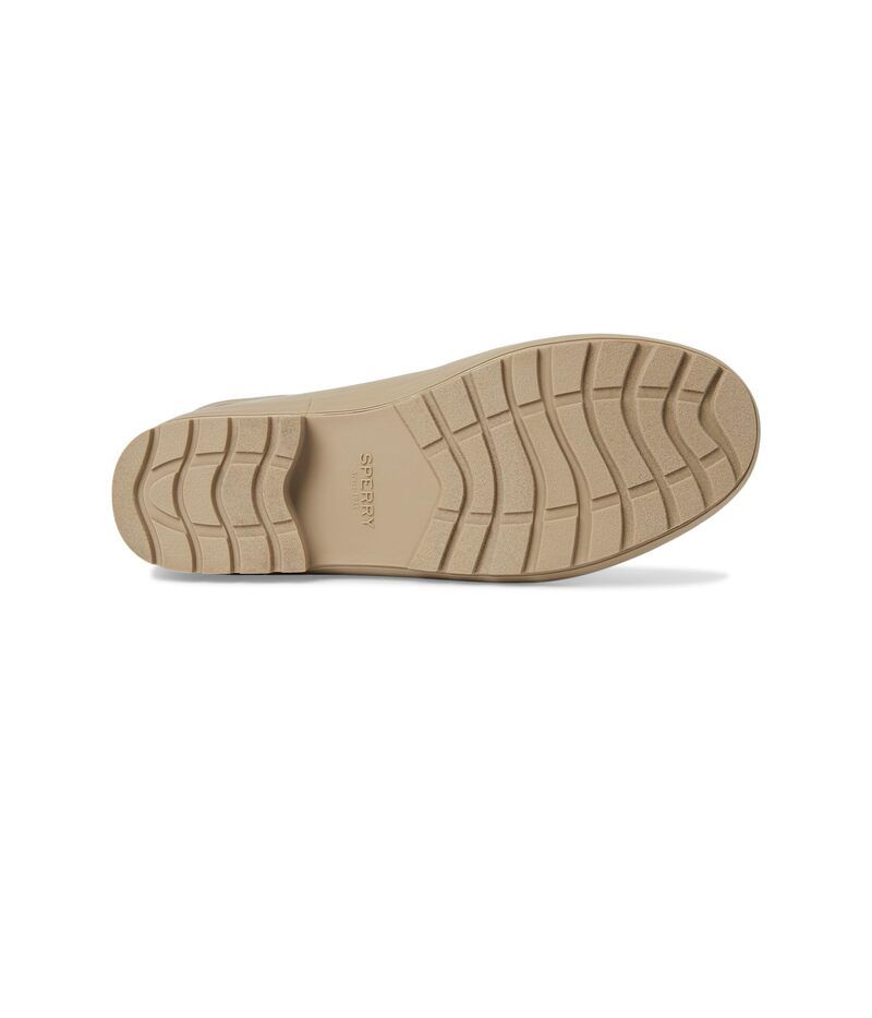 スペリー レディース シューズ ブーツ・レインブーツ トール Sperry Drizzle Tall Taupe トープ