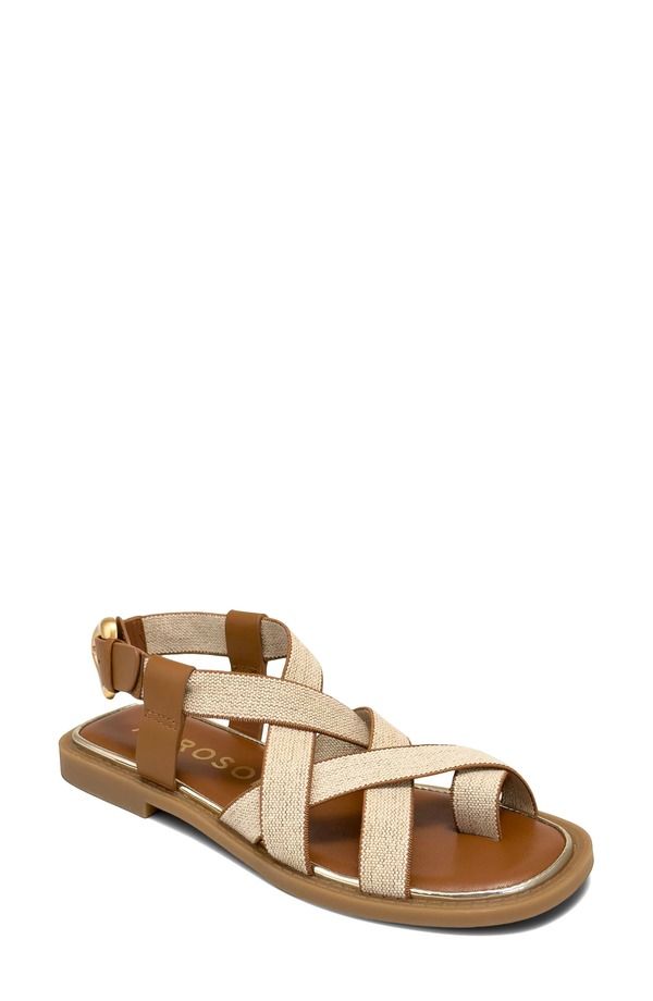 エアロソールズ レディース シューズ サンダル Aerosoles Cargo Toe Loop Sandalinen Tan Elastic Linen タン
