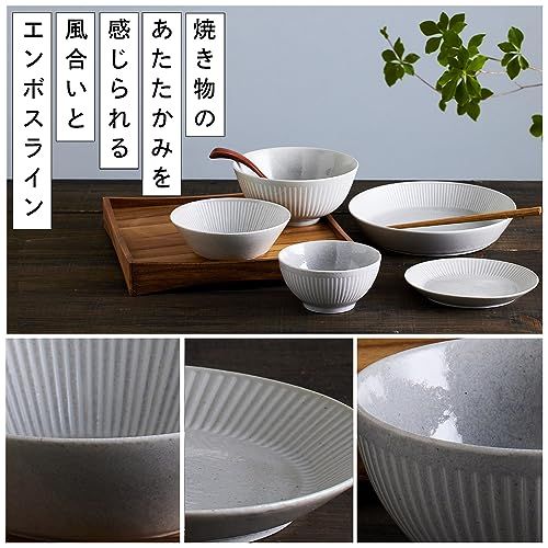 アイリスオーヤマ 食器セット一人暮らし 5点セット グレー 食洗機 電子