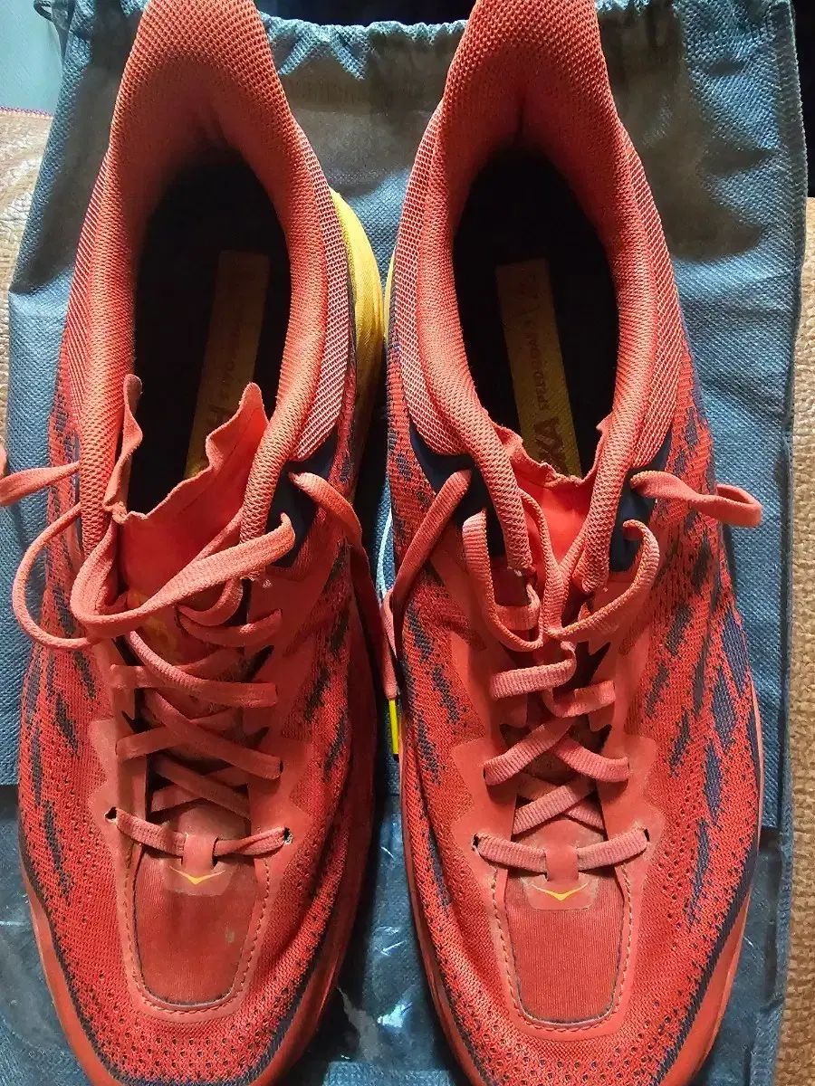 HOKA ONE ONE ホカオネオネ スピードスピードゴー5 290mm 出品
