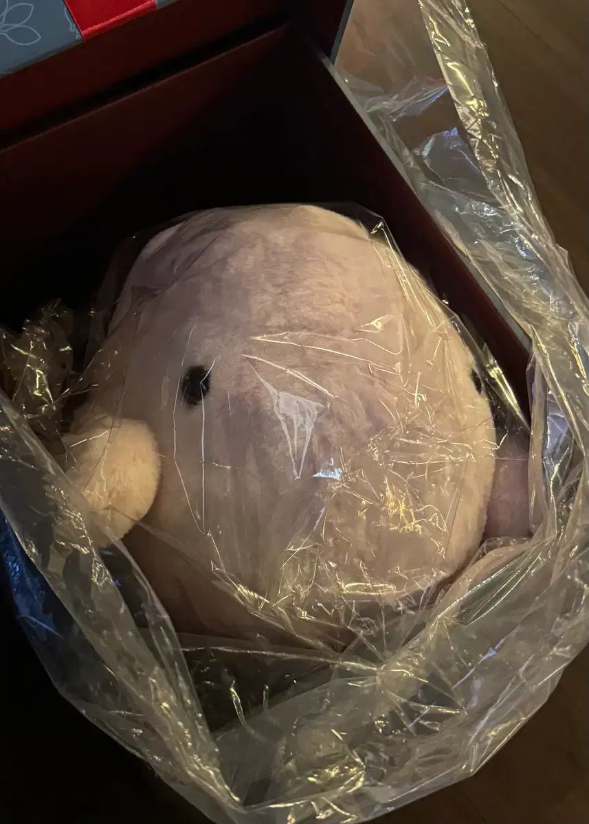 HamHam PangPang ボンINぬいぐるみ 出品