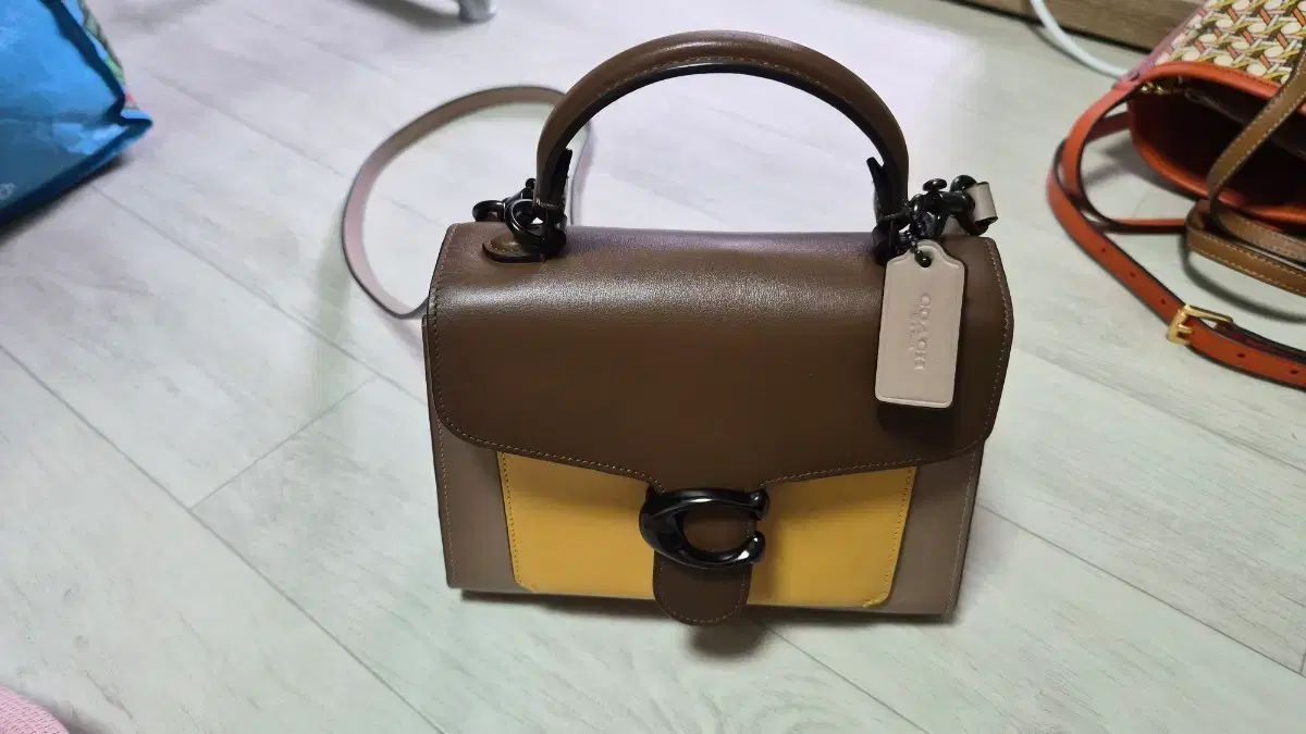 コーチテビ
