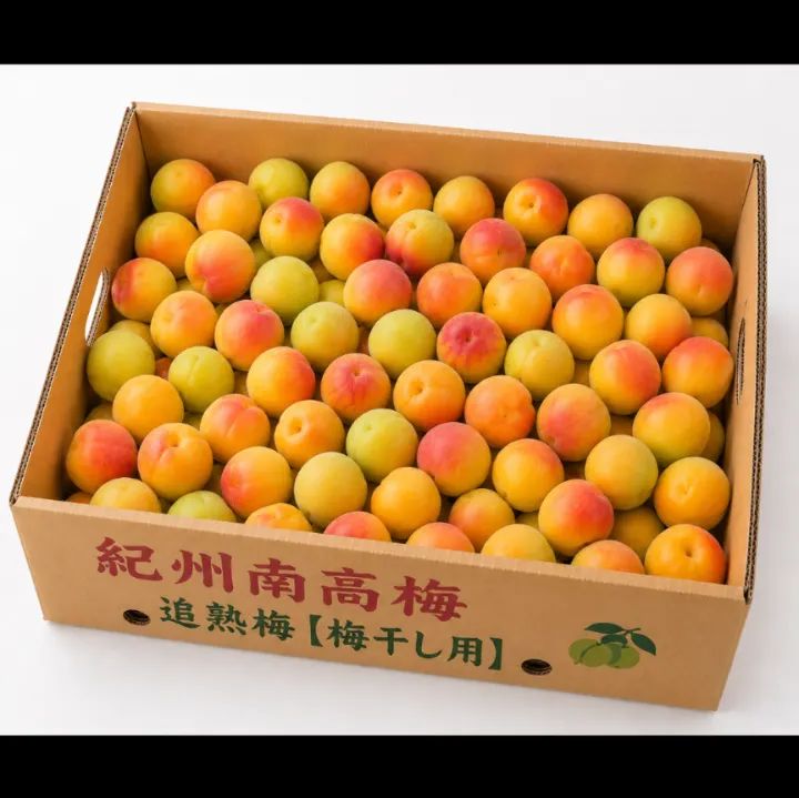 【クール便発送!】 《追熟梅(梅干し用)》秀品A級3L5kg 【クール便発送!】 《追熟梅(梅干し用)》秀品A級3L5kg