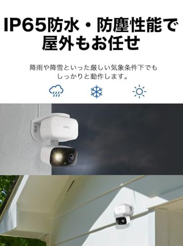 TP-Link Tapo ペットカメラ 見守りカメラ 防犯カメラ 室内 屋外/屋内 iphone対応 スマホ対応 1080p フルHD IP65防水防塵 フルカラーナイトビジョン 音声通話 AI検知 type-c充電 microSD/クラウド fb995529