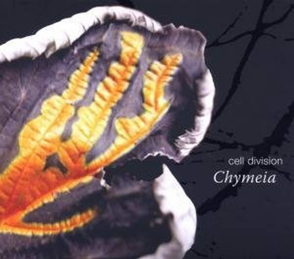 【CD】Chymeia