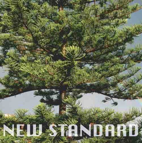 【CD】Peppertones 2集 - New Standard(韓国盤)