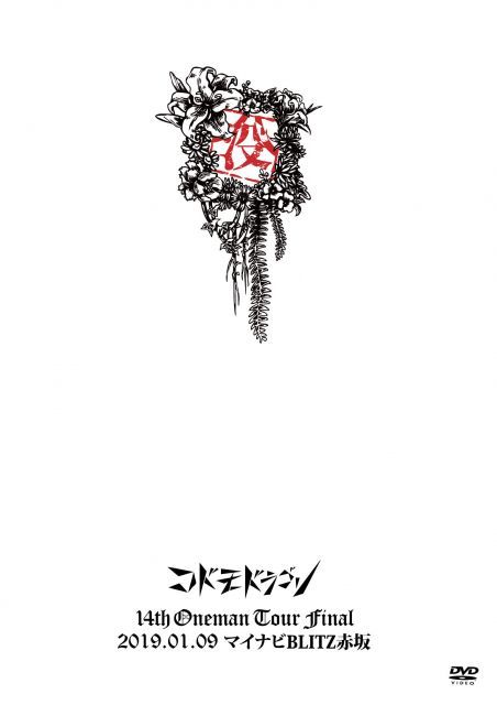 【中古】コドモドラゴン 14th Oneman Tour Final「没」 ~2019.01.09 マイナビBLITZ赤坂~【初回限定盤】 [DVD]