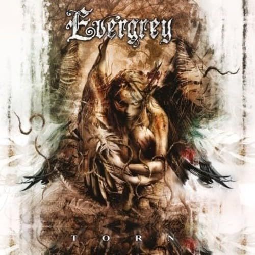 【CD】Torn
