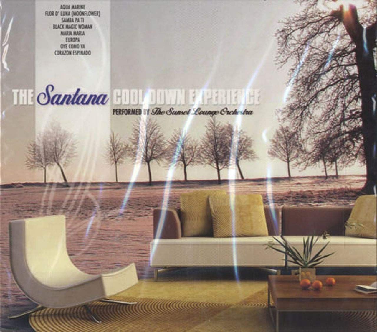 【CD】Santana Cool Down Experience
