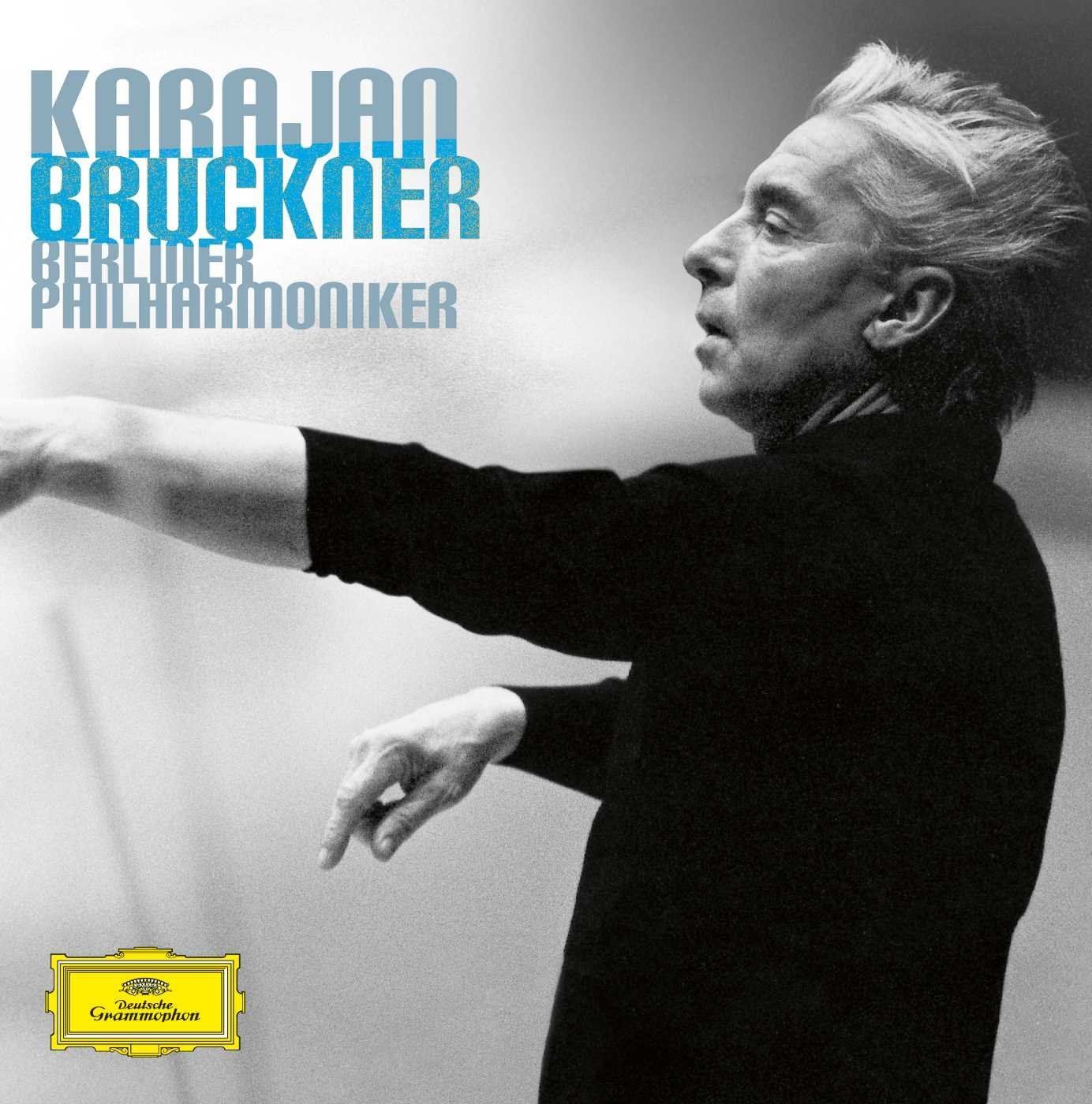 【CD】Karajan Bruckner: 9 Symphonies 14,306円