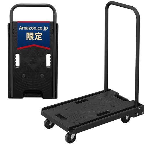 アイリスプラザ 台車 折りたたみ【ブラック】 持ち手ブラック 耐荷重 100kg コンパクト 軽量 静音 キャスター付き スッキリ収納Y b27e3231
