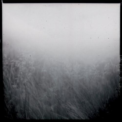 【CD】Black Book of Capitalism (Rpkg)