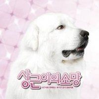 【CD】サングンの願い(韓国盤)
