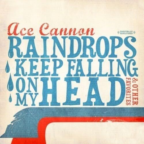 【CD】Raindrops Keep Falling on My Head & Other