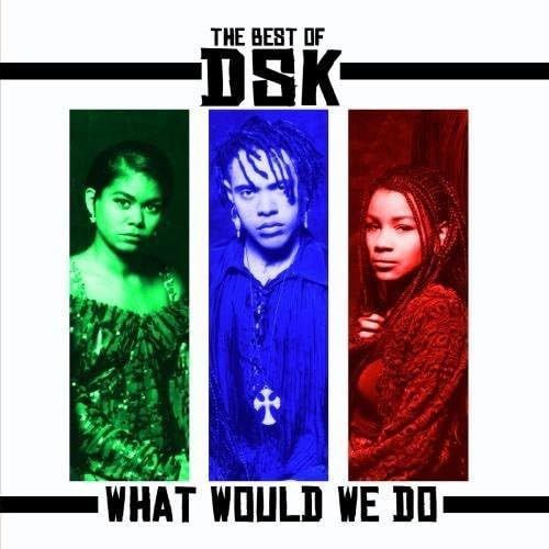 【CD】Best of: What Would We Do