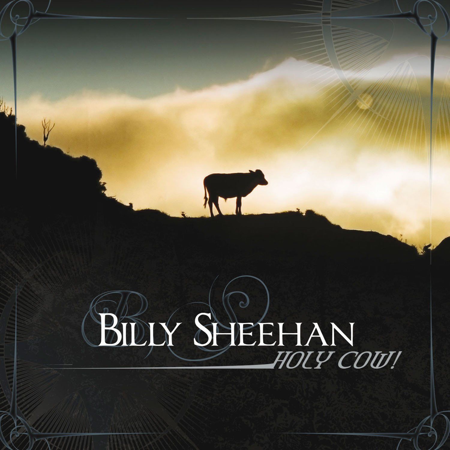 【CD】Holy Cow