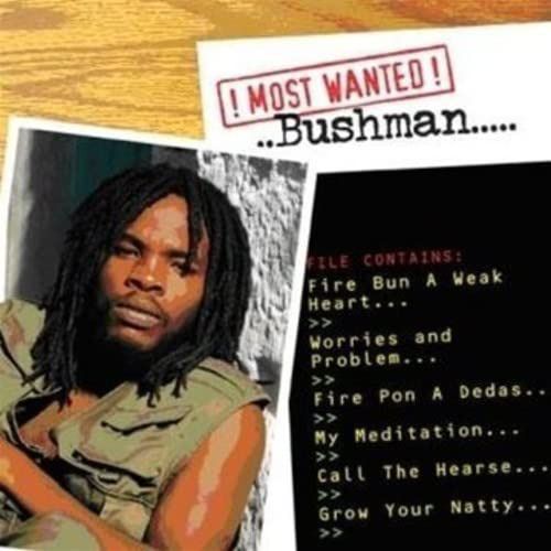 【CD】Most Wanted
