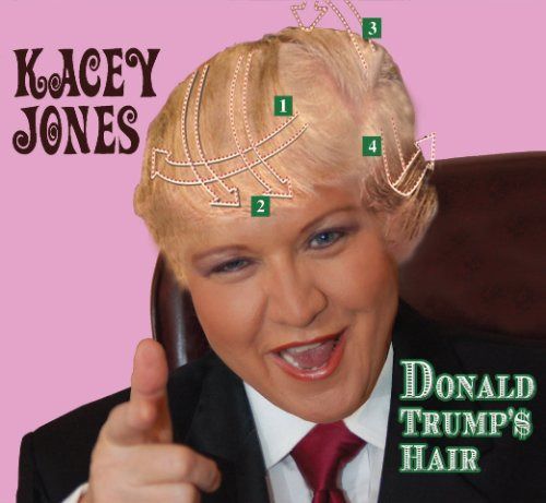 【CD】Donald Trump's Hair