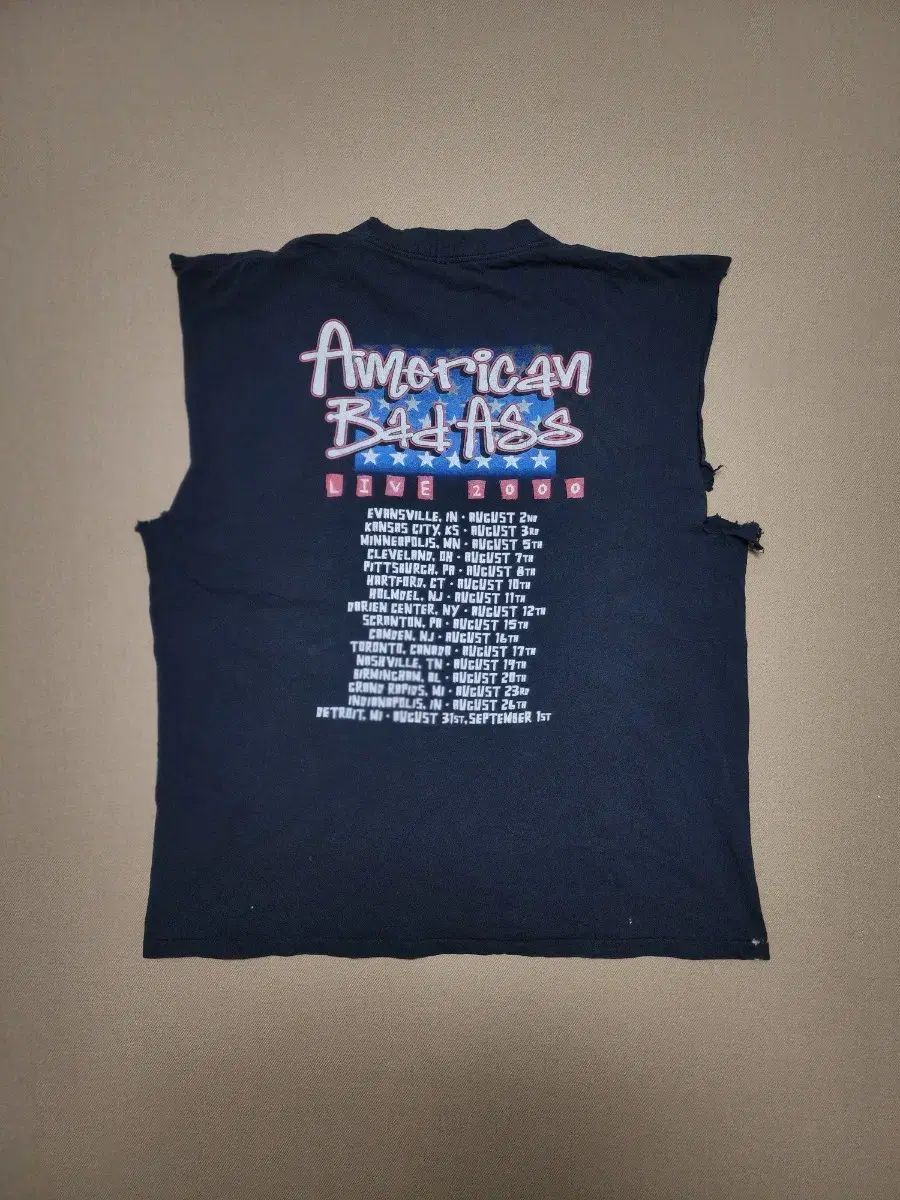 00sキッドロック American Bad Ass ツアースリーブレス65