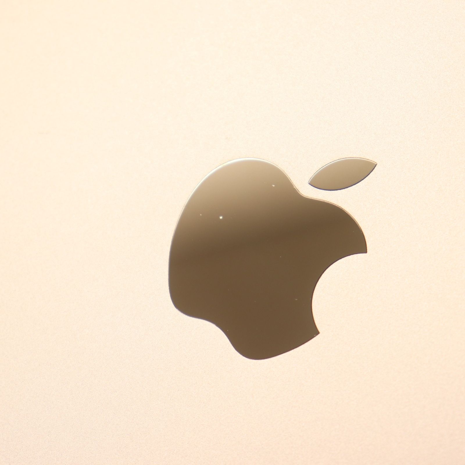 IT1WALGNQ0I0 ジャンク 動作確認済み Apple アップル iPad mini4 アイ