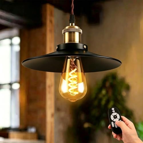 ANWIO ペンダントライト ダクトレール式 直径22cm 吊り下げライト E26口金 300LM 4.5W(20W形相当) シーリングランプ リモコン付き インテリア照明 アンティークレトロ 吊り下げ照明 遠隔操作 装飾電球 雰囲気 調光 3292ab45