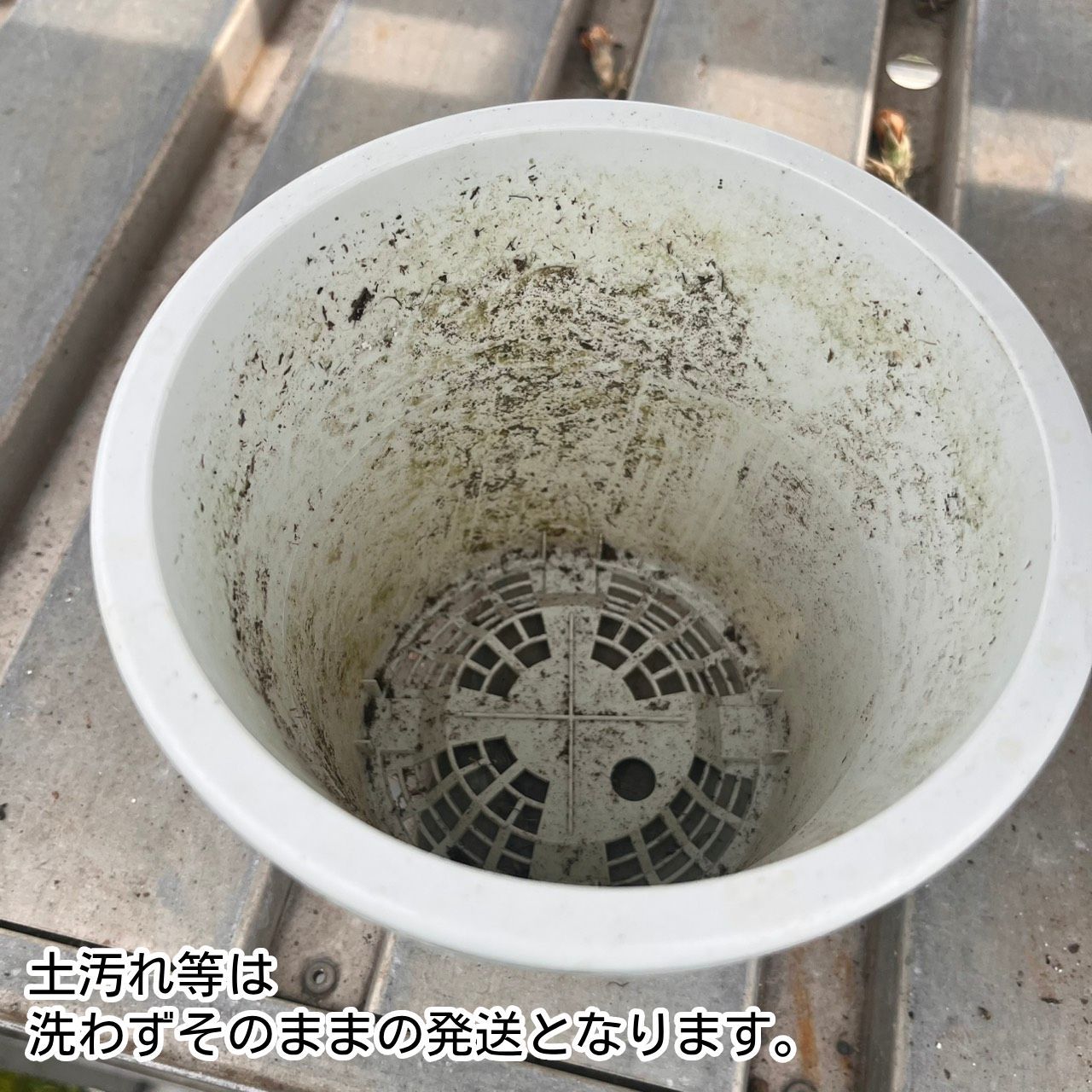 中古 プラ鉢 5号鉢 30個 - メルカリ