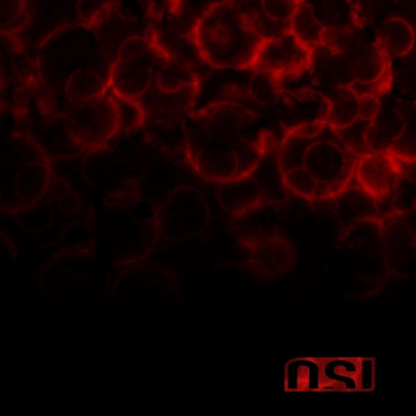 【CD】Blood