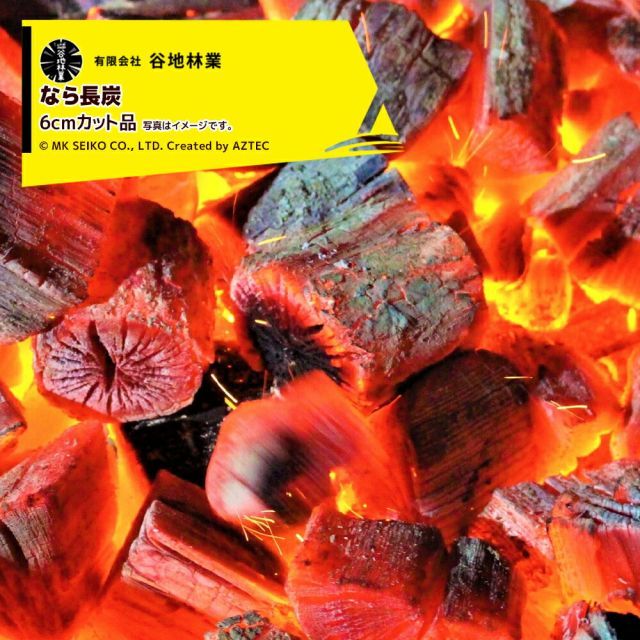 最大100%ポイントバック 確率2分の1！条件達成でチャンス最大5倍！要エントリー！谷地林業｜＜4袋set品＞岩手なら切炭 6kgx4 24kg 6cmカット品 クラフト入 燃料用 7,989円