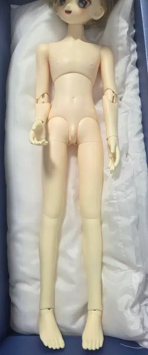 キッドデルフ45 ノーマル ぬいぐるみ HEAD ヘッド 含む