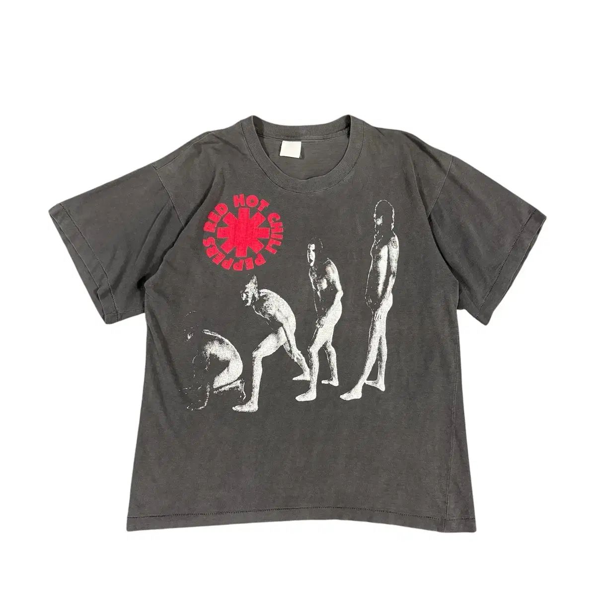 ヴィンテージ 90s レッドホットチリペッパーズ Tシャツ RHCP Evolution Tee