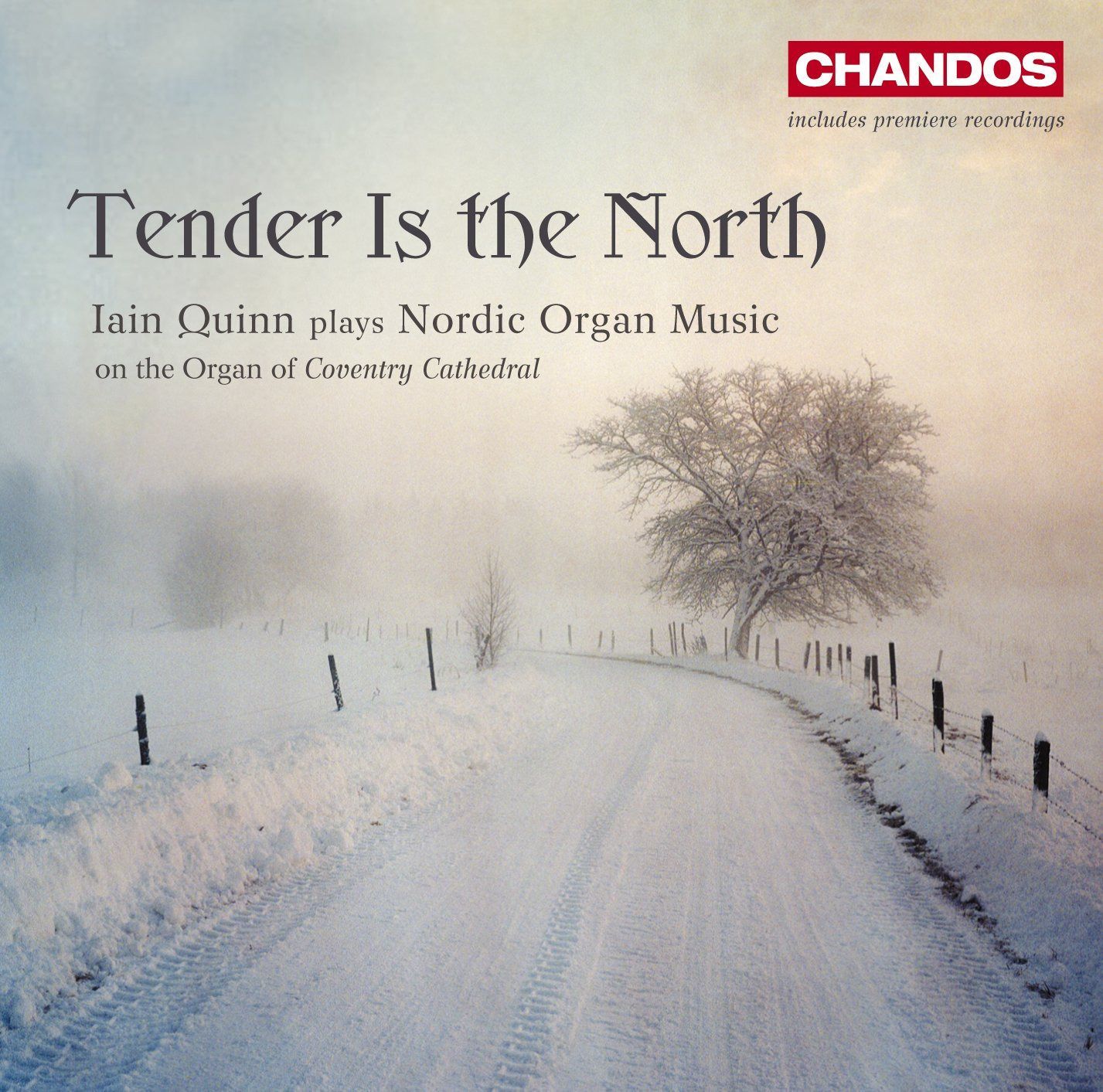 【CD】Tender Is the North