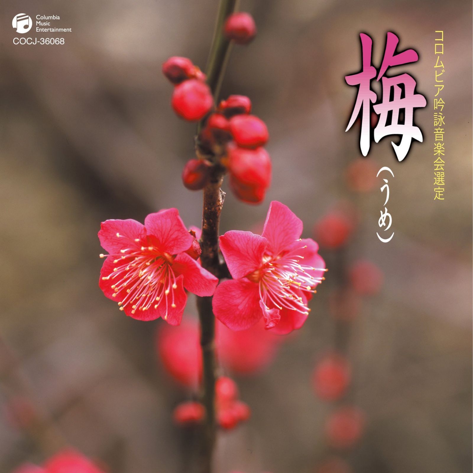 【CD】平成二十二年度(第四十六回)コロムビア全国吟詠コンクール 課題吟 梅 7,013円