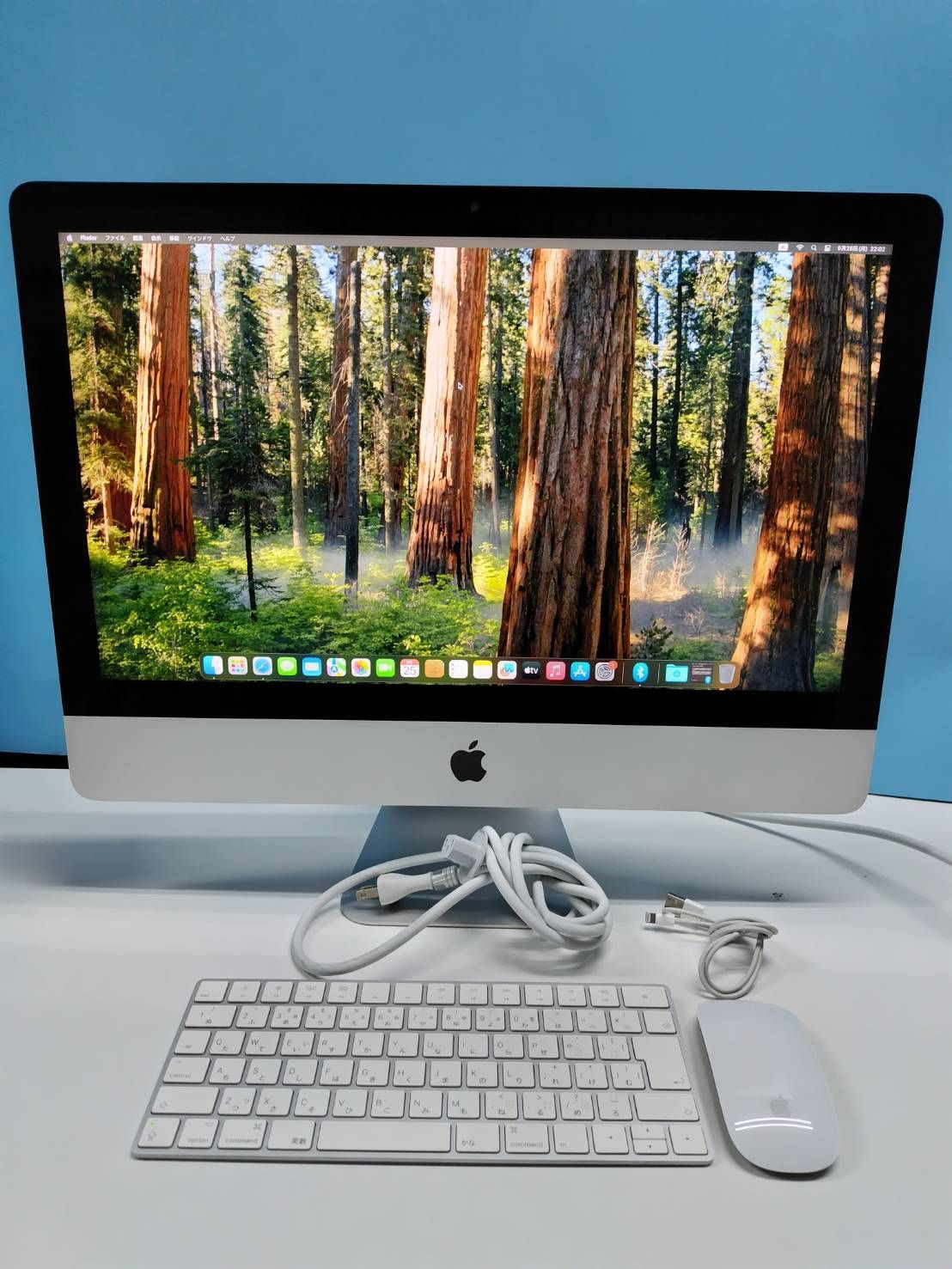 iMac (Retina 4K/21.5インチ/2019年モデル) 1TB/8GB〈MRT32J/A