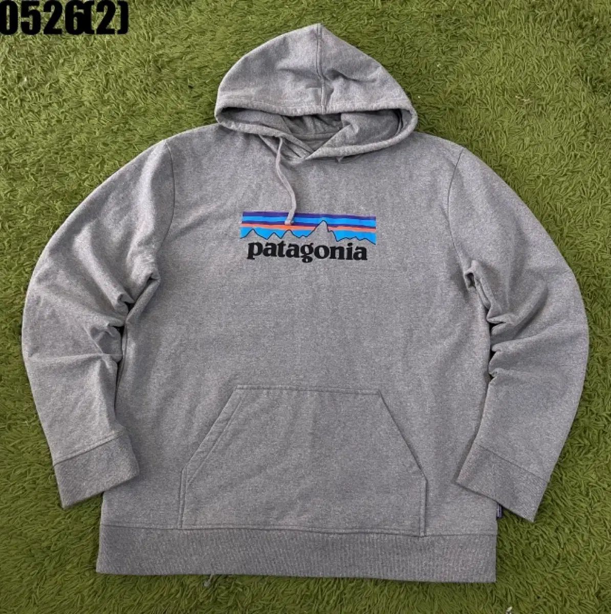 パタゴニア グレー WHO フード Tシャツ