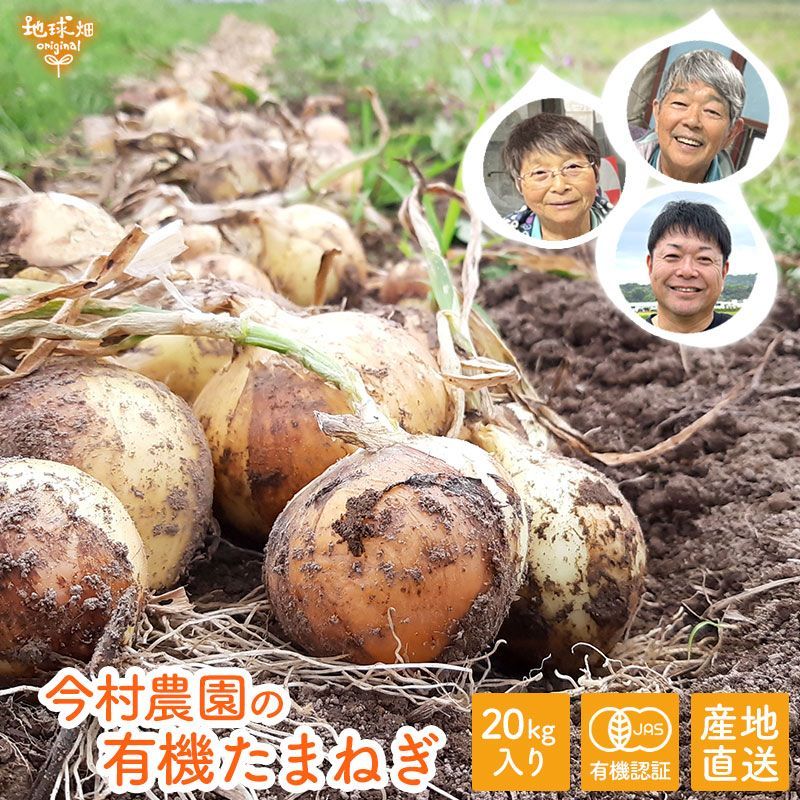 今村農園の有機新たまねぎ 20kg 1玉100～399g 鹿児島県産 有機栽培 有機JAS認証 新玉ねぎ 玉葱 爆買 オーガニック 産地直送 産直 常温便 発送期間5月～6月